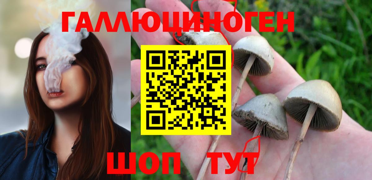 Псилоцибиновые грибы Psilocybe  Вход с VPN  Псилоцибиновые грибы GOLDEN TEACHER  Туймазы 